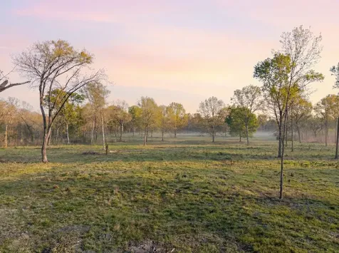 Lot 5 Johnson Drive Livingston TX 77351