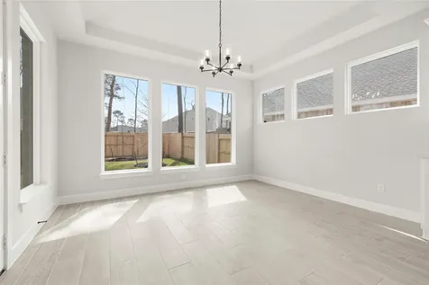 231 Warbler Song Drive Willis TX 77318