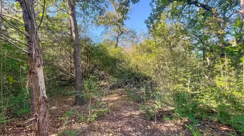 Tbd County Road 276 Bremond TX 76629