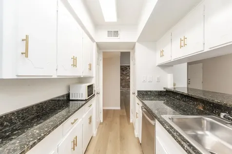 2101 Fountain View Drive 46c Houston TX 77057