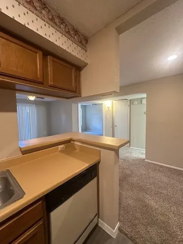 10555 Turtlewood Court Court 2604 Houston TX 77072