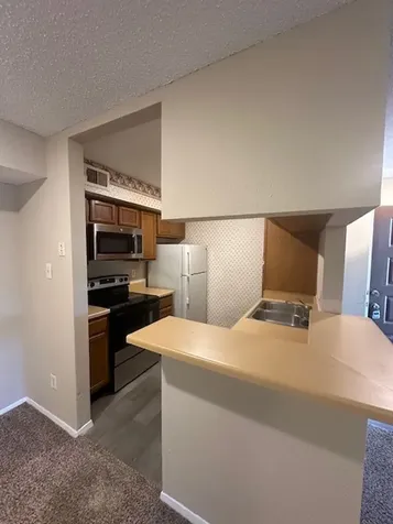 10555 Turtlewood Court Court 2604 Houston TX 77072