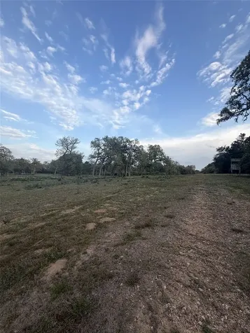 1743 Zimmerscheidt Road New Ulm TX 78950
