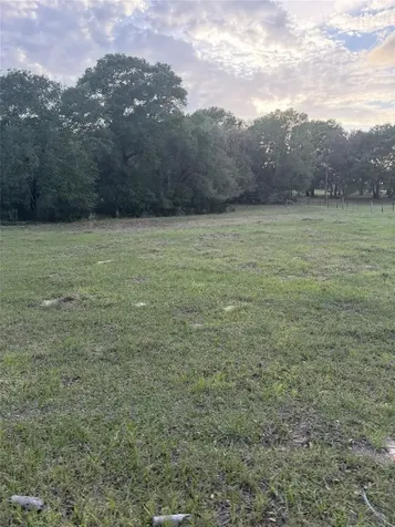 1743 Zimmerscheidt Road New Ulm TX 78950