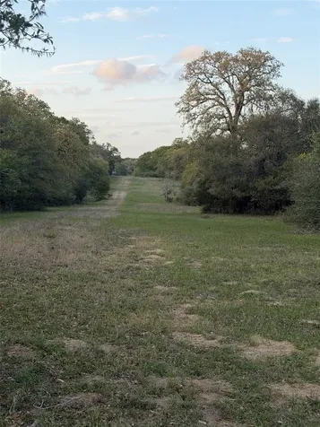 1743 Zimmerscheidt Road New Ulm TX 78950