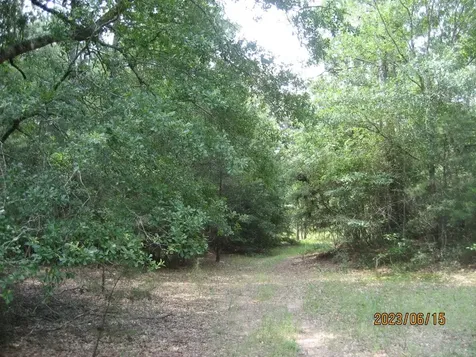 30081 Round Up Drive Waller TX 77484