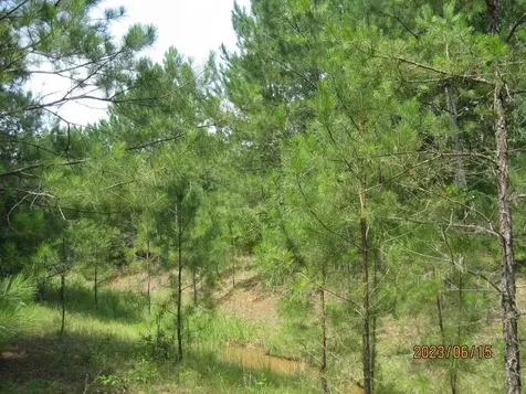 30081 Round Up Drive Waller TX 77484