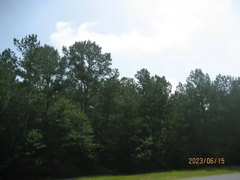 30081 Round Up Drive Waller TX 77484