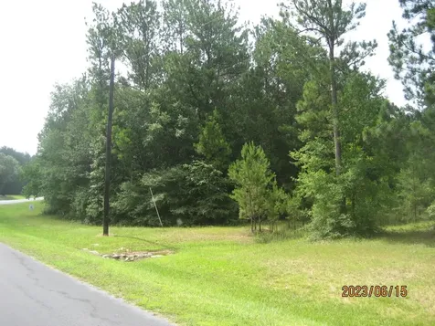 30081 Round Up Drive Waller TX 77484