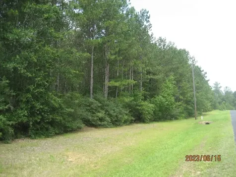 30081 Round Up Drive Waller TX 77484