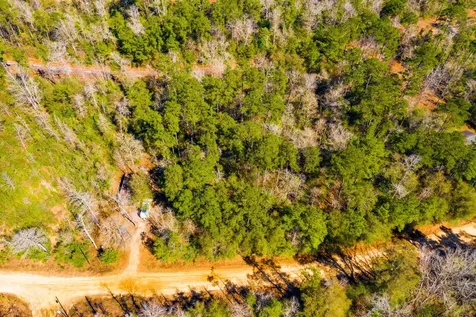 Lot 35 N Friar Tuck Drive Ivanhoe TX 75979