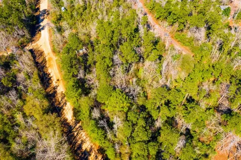 Lot 35 N Friar Tuck Drive Ivanhoe TX 75979