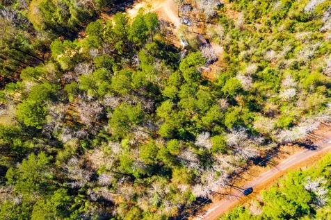 Lot 35 N Friar Tuck Drive Ivanhoe TX 75979