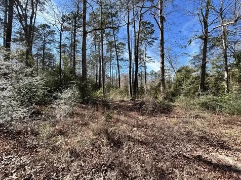 Lot 35 N Friar Tuck Drive Ivanhoe TX 75979