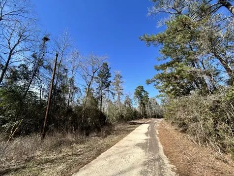 Lot 35 N Friar Tuck Drive Ivanhoe TX 75979
