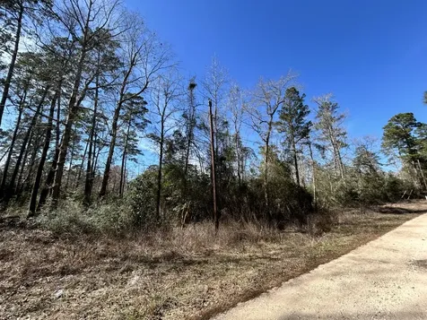 Lot 35 N Friar Tuck Drive Ivanhoe TX 75979