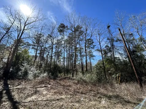 Lot 35 N Friar Tuck Drive Ivanhoe TX 75979