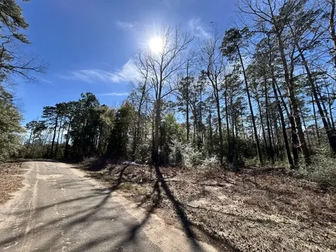 Lot 35 N Friar Tuck Drive Ivanhoe TX 75979
