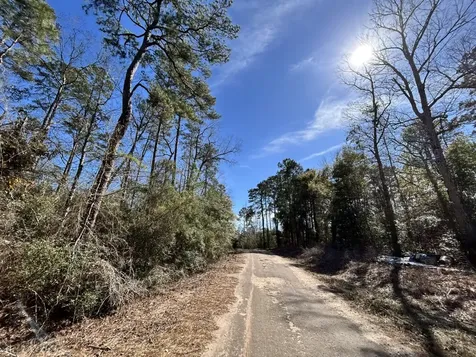 Lot 35 N Friar Tuck Drive Ivanhoe TX 75979