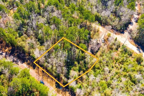 Lot 35 N Friar Tuck Drive Ivanhoe TX 75979