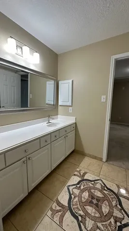 19303 Camellia Knoll Trail Houston TX 77084