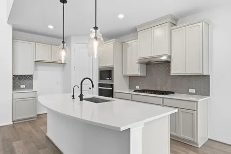 10714 Yellow Wild Indigo Lane Cypress TX 77433