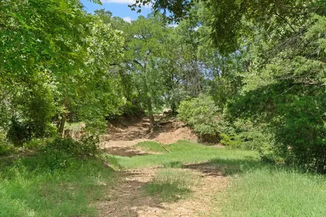 Tbd (Tracts 11 & 12) St Delight Road Paige TX 78659
