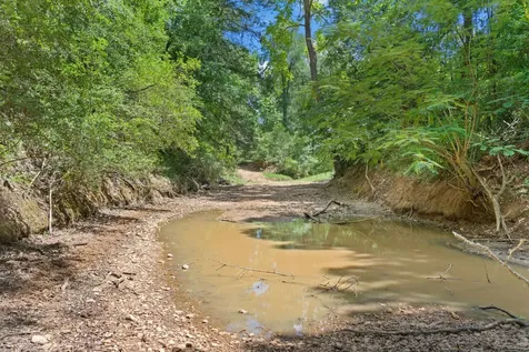 Tbd (Tracts 11 & 12) St Delight Road Paige TX 78659