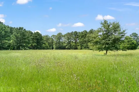 Tbd (Tracts 11 & 12) St Delight Road Paige TX 78659