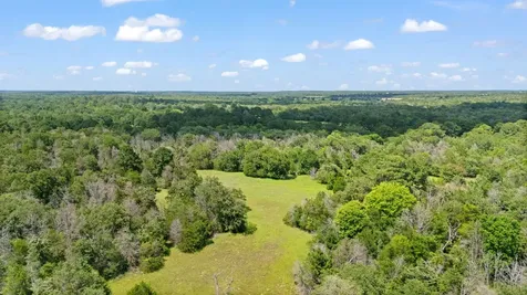 Tbd (Tracts 11 & 12) St Delight Road Paige TX 78659