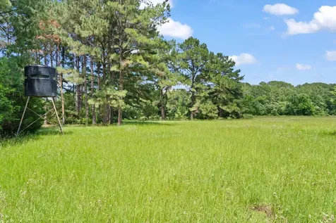Tbd (Tracts 11 & 12) St Delight Road Paige TX 78659
