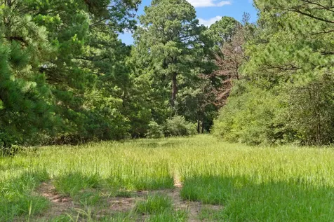 Tbd (Tracts 11 & 12) St Delight Road Paige TX 78659
