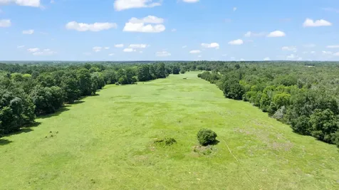 Tbd (Tracts 11 & 12) St Delight Road Paige TX 78659