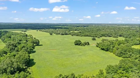 Tbd (Tracts 11 & 12) St Delight Road Paige TX 78659