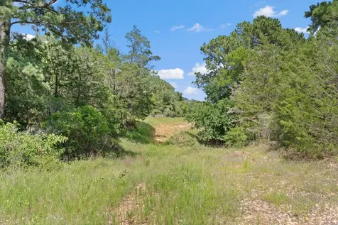 Tbd (Tracts 11 & 12) St Delight Road Paige TX 78659