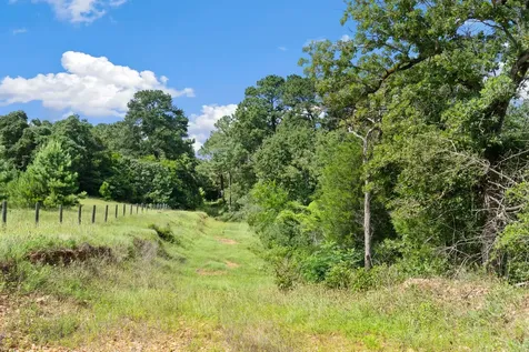 Tbd (Tracts 11 & 12) St Delight Road Paige TX 78659