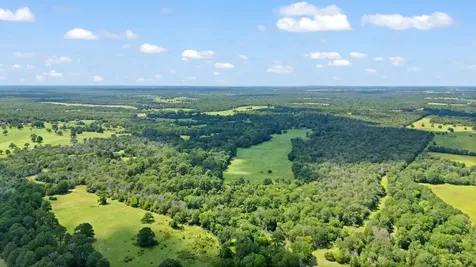 Tbd (Tracts 11 & 12) St Delight Road Paige TX 78659