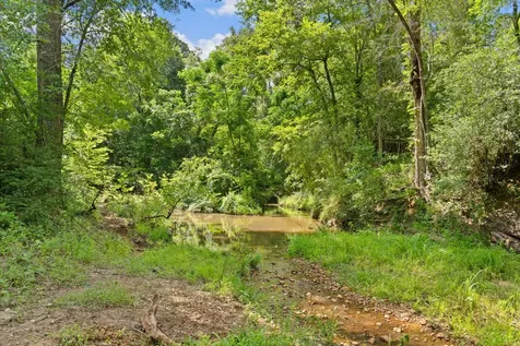 Tbd (Tracts 11 & 12) St Delight Road Paige TX 78659