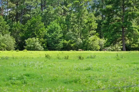 Tbd (Tracts 11 & 12) St Delight Road Paige TX 78659