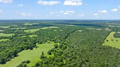 Tbd (Tracts 11 & 12) St Delight Road Paige TX 78659