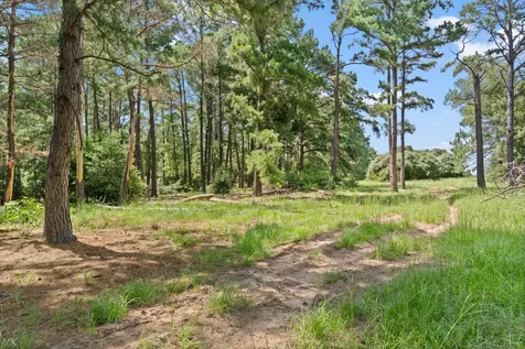 Tbd (Tracts 11 & 12) St Delight Road Paige TX 78659