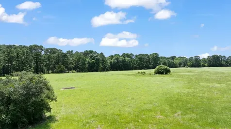 Tbd (Tracts 11 & 12) St Delight Road Paige TX 78659