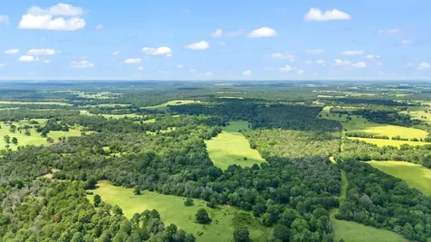 Tbd (Tracts 11 & 12) St Delight Road Paige TX 78659
