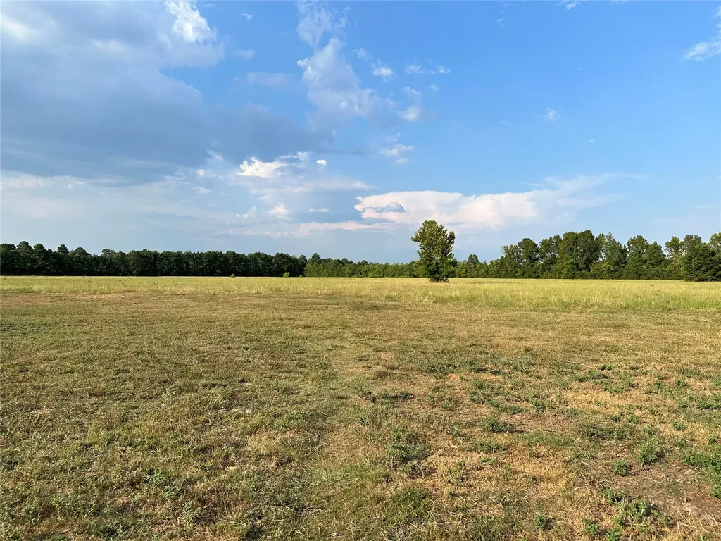 Tbd Highway 105 County Road 2266 Cleveland TX 77327