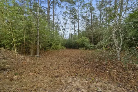 Tbd Winding Hill Magnolia TX 77354