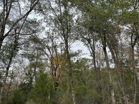 00 Fm-696 Caldwell TX 77836