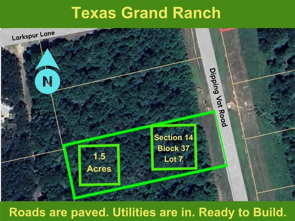 14-37-7 Dipping Vat Road New Waverly TX 77358