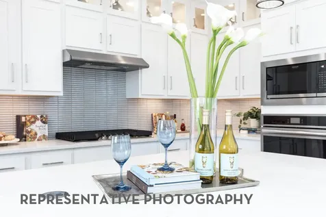 2511 Sorrento Street Manvel TX 77578
