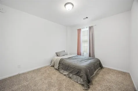19618 Ibiza Park Drive Hockley TX 77447