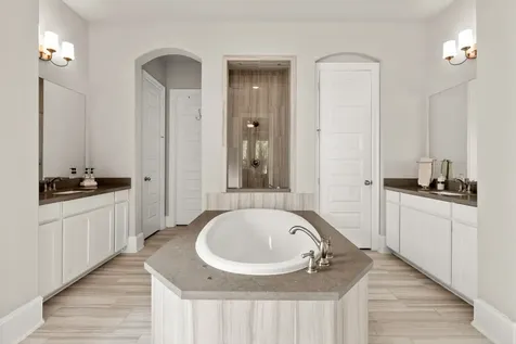 18 Trailing Lantana Place The Woodlands TX 77354